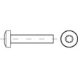 Linsenschrauben DIN 7985 / ISO 7045 ISR mit Innensechsrund A4 M 3 x 10 T10