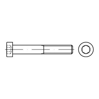 Zylinderschrauben DIN 7984 A4 M 8 x 30