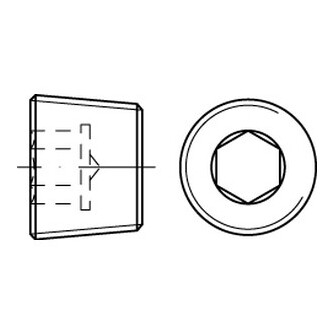 Verschlussschrauben DIN 906 A4 1/4"