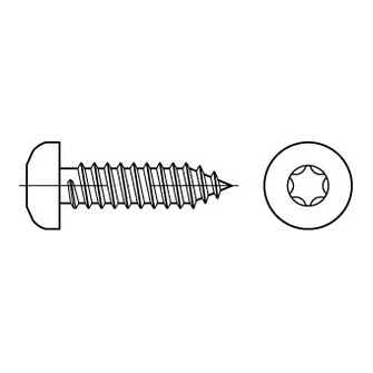 Flachkopf-Blechschrauben mit Innensechsrund u. Spitze ISO 14585 C Stahl gal vz 2,9 x 19